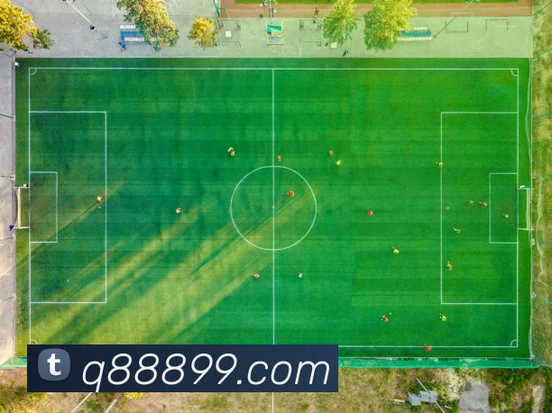 Q8娱乐城官网APP 封面图